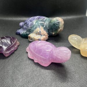 Fluorite Turtles